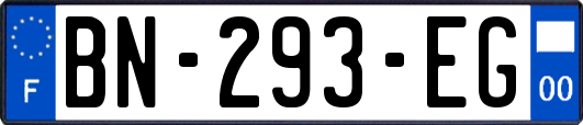 BN-293-EG