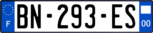 BN-293-ES