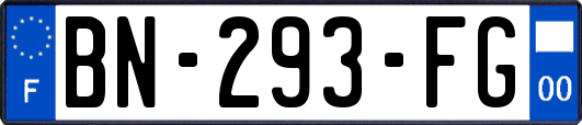 BN-293-FG