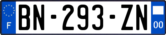 BN-293-ZN