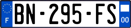 BN-295-FS
