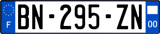 BN-295-ZN