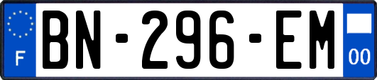 BN-296-EM