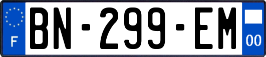BN-299-EM