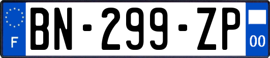 BN-299-ZP