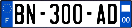 BN-300-AD