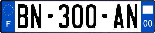 BN-300-AN