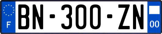 BN-300-ZN