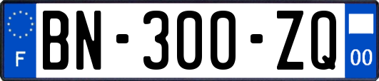 BN-300-ZQ