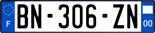 BN-306-ZN