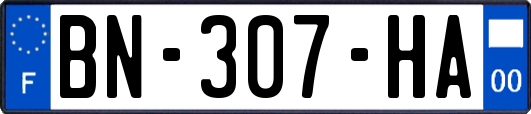 BN-307-HA