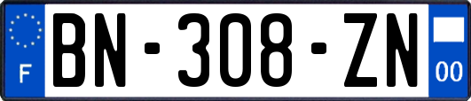 BN-308-ZN