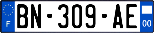 BN-309-AE