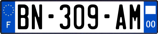 BN-309-AM