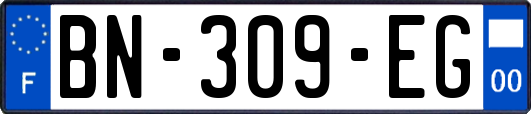 BN-309-EG