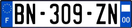 BN-309-ZN