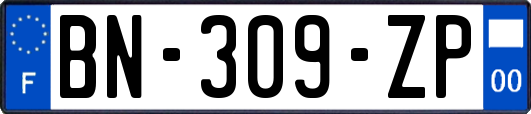 BN-309-ZP