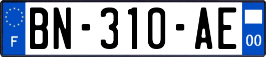 BN-310-AE