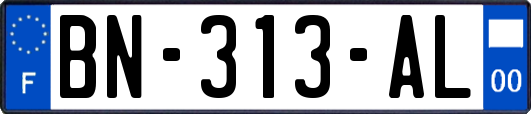 BN-313-AL