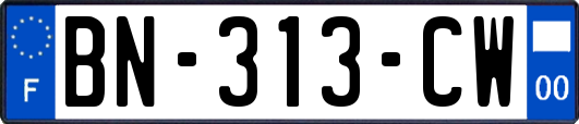 BN-313-CW