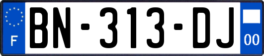 BN-313-DJ