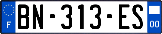 BN-313-ES