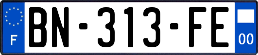 BN-313-FE
