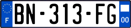 BN-313-FG