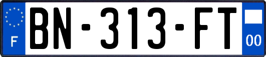 BN-313-FT