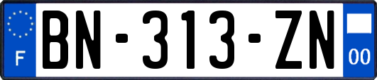 BN-313-ZN