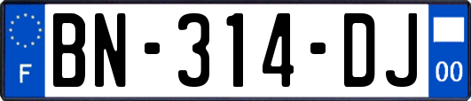 BN-314-DJ