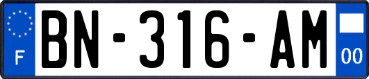 BN-316-AM