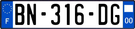 BN-316-DG
