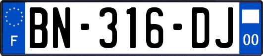 BN-316-DJ