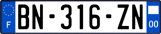 BN-316-ZN