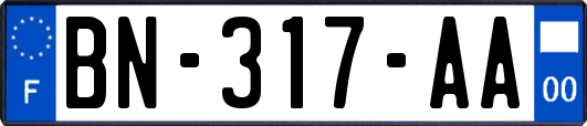 BN-317-AA