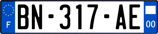 BN-317-AE