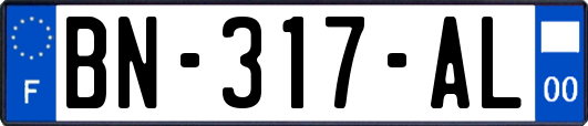 BN-317-AL