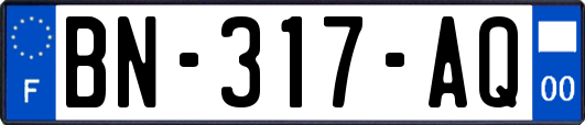 BN-317-AQ