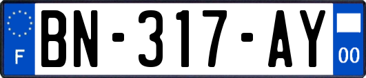 BN-317-AY