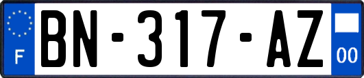 BN-317-AZ