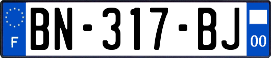 BN-317-BJ