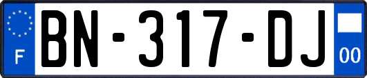 BN-317-DJ