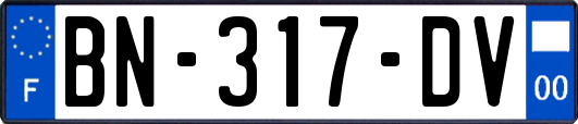 BN-317-DV