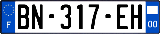 BN-317-EH