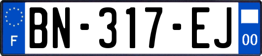BN-317-EJ