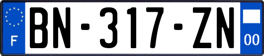 BN-317-ZN