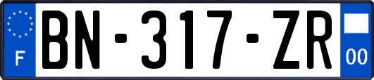 BN-317-ZR