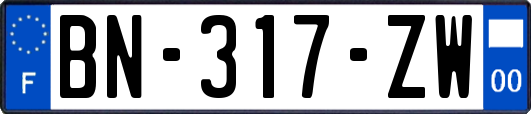 BN-317-ZW