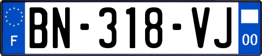 BN-318-VJ